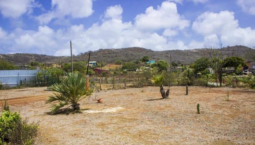 Kadushi Estate Villa Willemstad Exterior foto